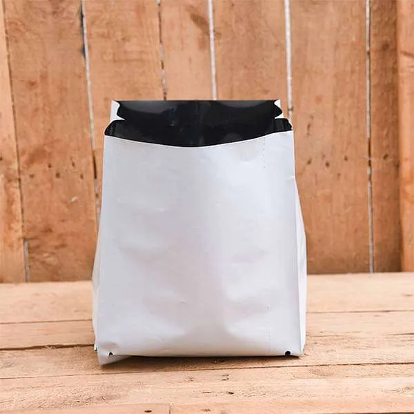 6.3 inch (16 cm) Square Grow Bag (White) (Set of 20)