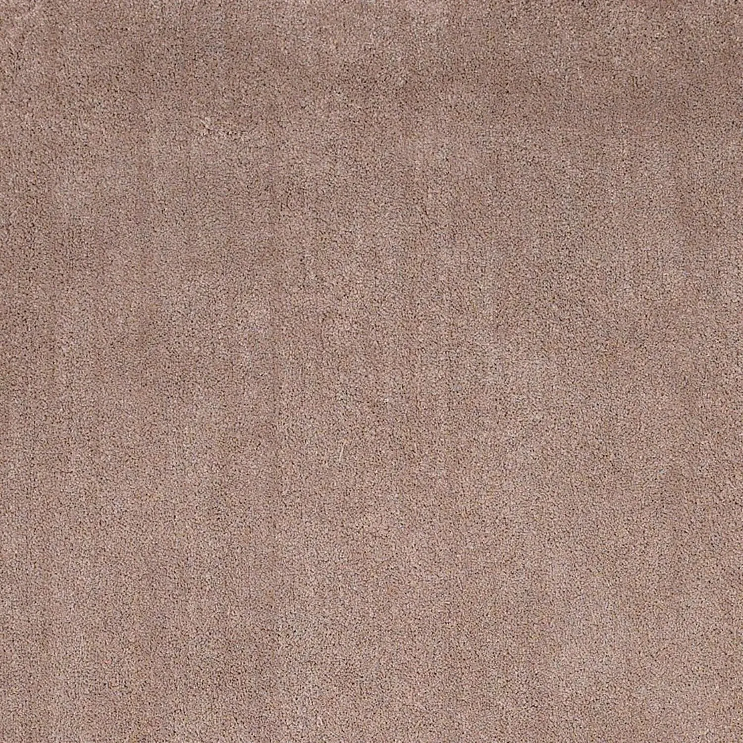 Bliss 1551 Shag Beige Rug