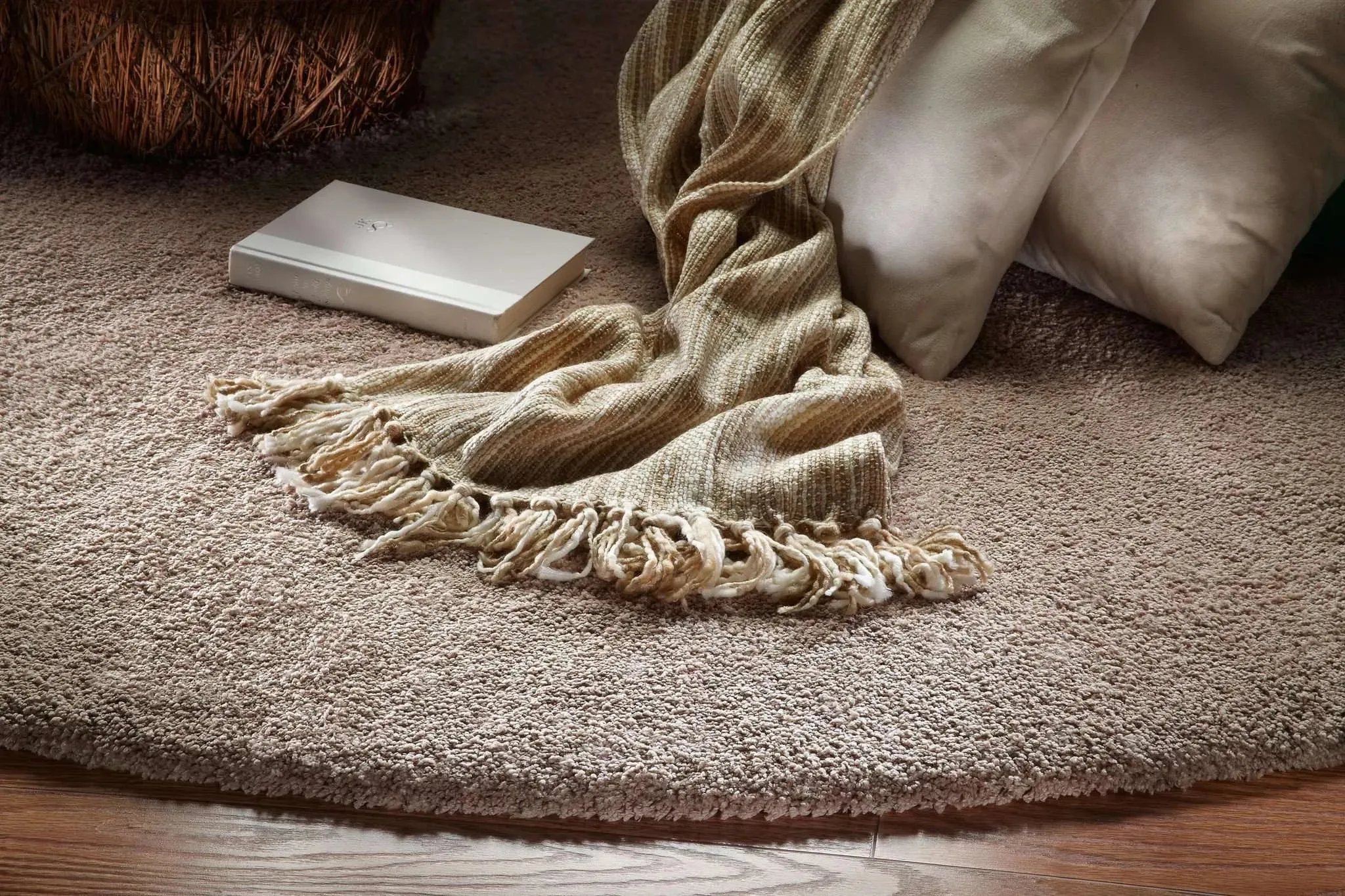 Bliss 1551 Shag Beige Rug