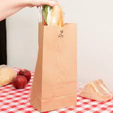 Brown Paper Lunch Bags, Paper Grocery Bags, Durable Kraft Paper Bags 10lb 100 Pack-  These multipurpose bags can hold canned foods, sandwiches and just about anything - 43100001004