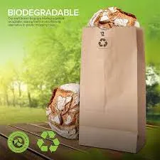 Brown Paper Lunch Bags, Paper Grocery Bags, Durable Kraft Paper Bags 10lb 100 Pack-  These multipurpose bags can hold canned foods, sandwiches and just about anything - 43100001004