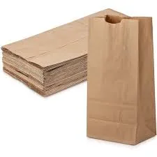 Brown Paper Lunch Bags, Paper Grocery Bags, Durable Kraft Paper Bags 10lb 100 Pack-  These multipurpose bags can hold canned foods, sandwiches and just about anything - 43100001004