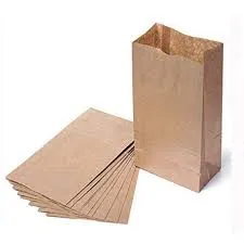 Brown Paper Lunch Bags, Paper Grocery Bags, Durable Kraft Paper Bags 10lb 100 Pack-  These multipurpose bags can hold canned foods, sandwiches and just about anything - 43100001004