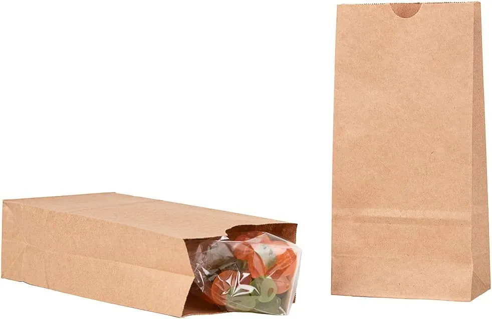 Brown Paper Lunch Bags, Paper Grocery Bags, Durable Kraft Paper Bags 10lb 100 Pack-  These multipurpose bags can hold canned foods, sandwiches and just about anything - 43100001004