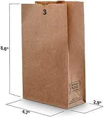 Brown Paper Lunch Bags, Paper Grocery Bags, Durable Kraft Paper Bags 10lb 100 Pack-  These multipurpose bags can hold canned foods, sandwiches and just about anything - 43100001004