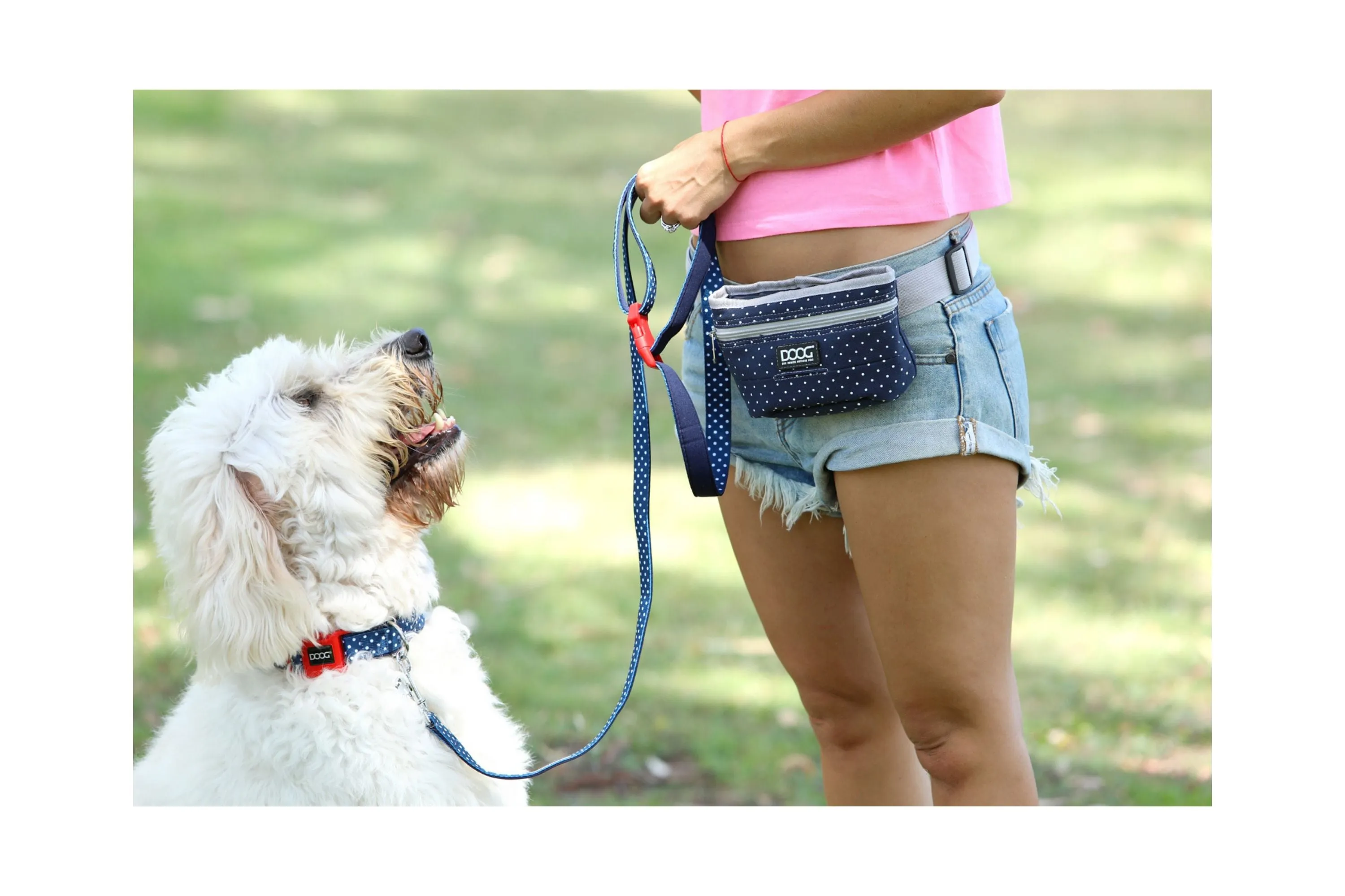 Good Dog Treat Bag