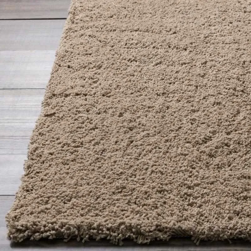 Holsant Soft Modern Area Rugs