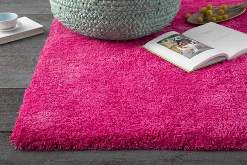 Holsant Soft Modern Area Rugs