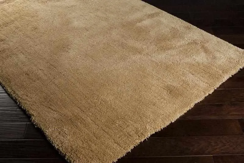 Holsant Soft Modern Area Rugs