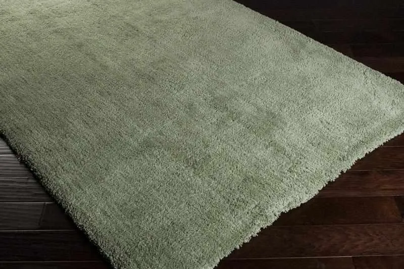 Holsant Soft Modern Area Rugs