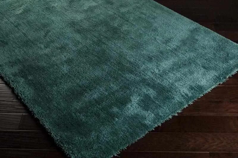 Holsant Soft Modern Area Rugs