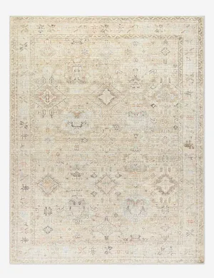 Marlene II Rug by Becki Owens x Surya