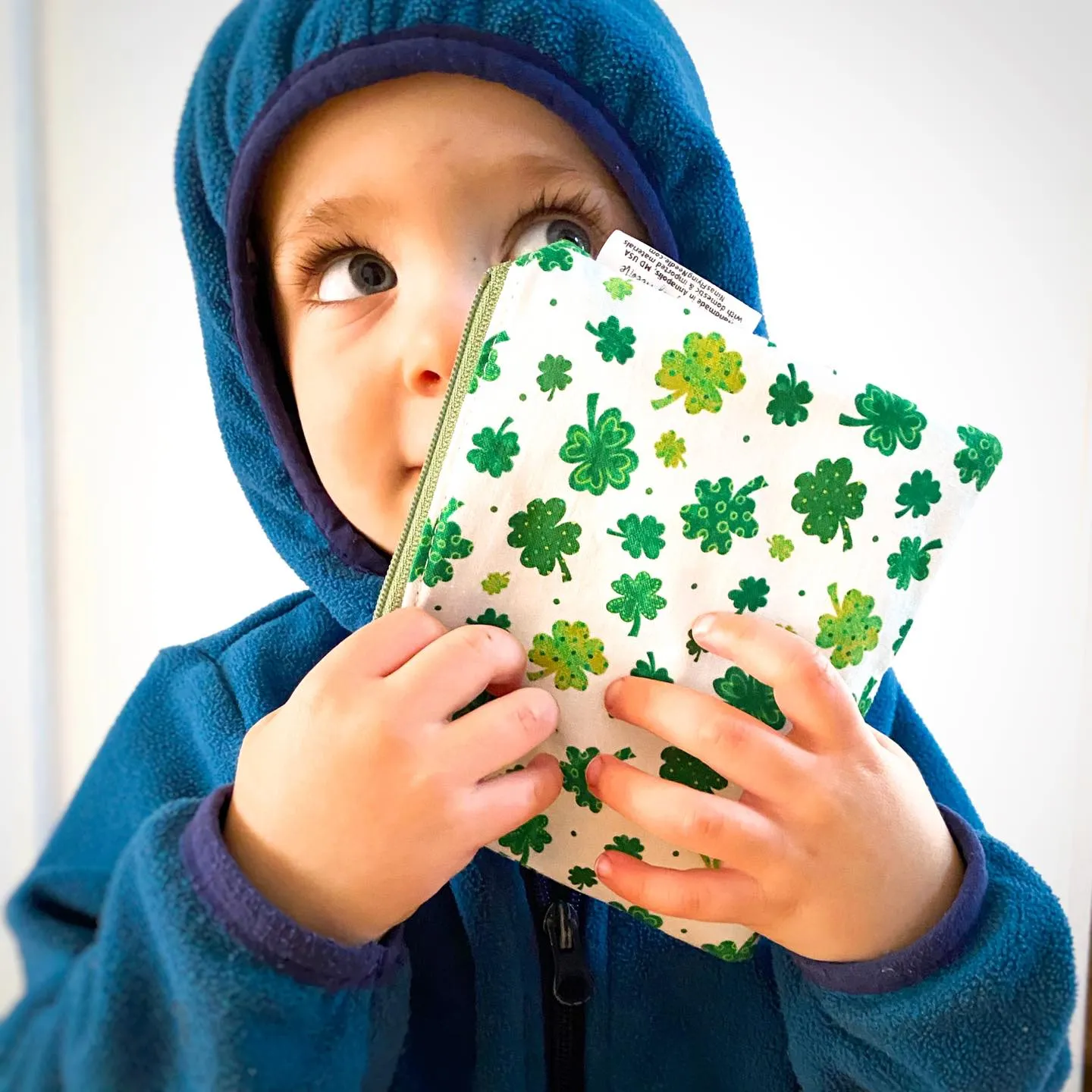 Toddler Sized Reusable Zippered Bag Anchors on White